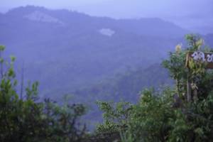 BIB: 
                            <button type="button" onclick="openModal(24771828)" class="btn btn-primary btn-sm float-right btn-popup" data-toggle="modal" data-target=".modal-high-quality">
                        <i class="fas fa-shopping-cart"></i> Add to Cart
                    </button>
                                            <button type="button" onclick="isThisMe(24771828, true)" class="btn btn-success btn-sm float-right btn-popup btn-isme hidden" data-toggle="tooltip" data-placement="bottom" title="นี่คือรูปของคุณใช่ไหม คลิกที่นี่เพื่อเอาเข้าอัลบั้ม">
                        <i class="fas fa-plus"></i> Add to album
                    </button>
                    <button type="button" onclick="isThisMe(24771828, false)" class="btn btn-warning btn-sm float-right btn-popup btn-isnotme hidden">
                        <i class="fas fa-ban"></i> Remove from album
                    </button>